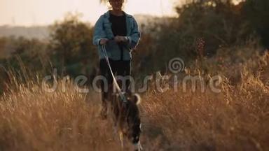 日落时分，女人和狗在大自然中奔跑。 与宠物一起享受夏日时光。